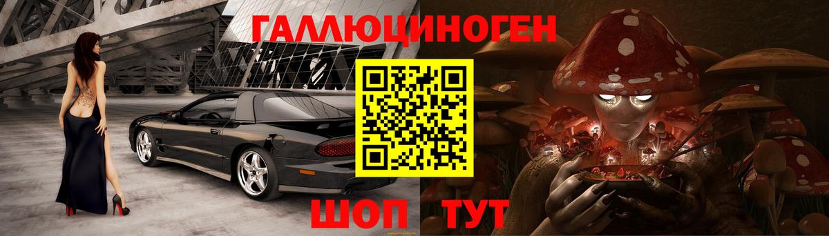 Галлюциногенные грибы GOLDEN TEACHER Ахтубинск