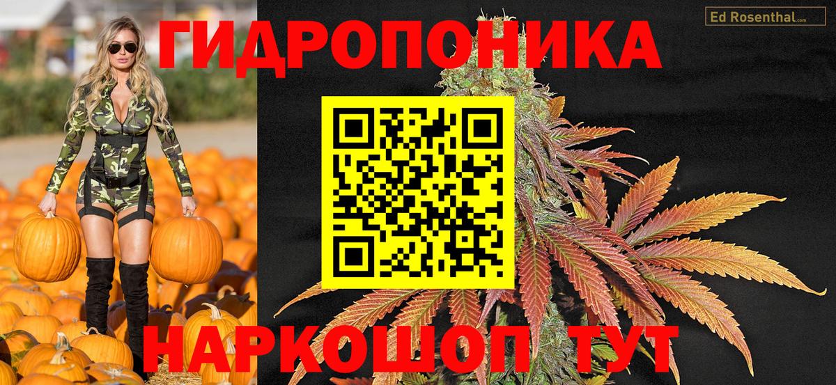 Бошки Шишки Bruce Banner Ахтубинск